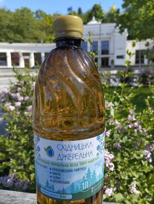 Мінеральна лікувальна вода "Софія" з бювету в пляшці 1л  Sofiia1L фото